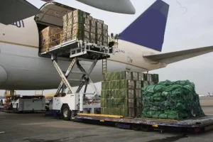 Carga subida a un avión de carga en pista, una etapa clave en el transporte aéreo de mercancías.